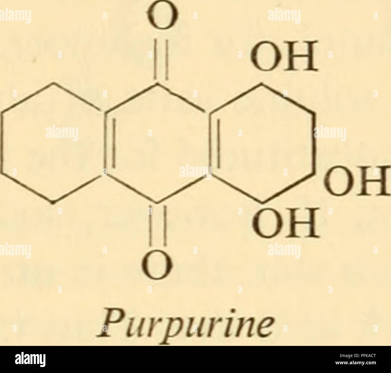 . Tecnica citologico; i principi alla base di metodi di routine. Istologia -- tecnica; la citologia -- Tecnica. Si verifica in purpurine ma non in alizarina, è piuttosto reattivi e i due coloranti tendono a comportarsi allo stesso modo con la mordenzatura. ^^^ Entrambi i coloranti sono naturalmente presenti nella forma di glucosidi nella radice della pianta più arrabbiata, Rubia tinctonim (Rubiaceae), ma i prodotti sintetici sono quasi sempre utilizzati. Purpurine purtroppo è chiamato, in quanto si tratta di un colorante rosso. Se purpurine viene disciolto a saturazione in 60°o etanolo, esso agisce come un tipico anche se molto debole colorante acido. Questo può essere illustrato da trasportare- in Foto Stock