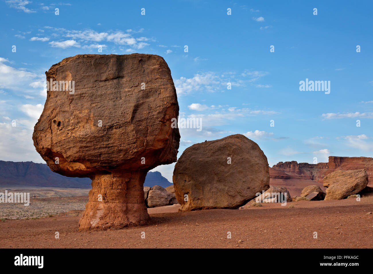 AZ00343-00...ARIZONA - Rock toadstools situato nei pressi di roccia equilibrato alla base delle scogliere di Vermiglio in Glen Canyon National Recreation Area. Foto Stock