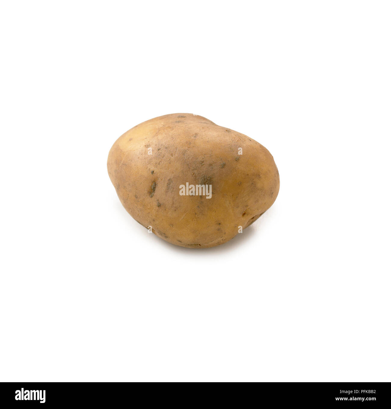 Potato 'Dunbar Rover', cresciuto in Gran Bretagna Foto Stock