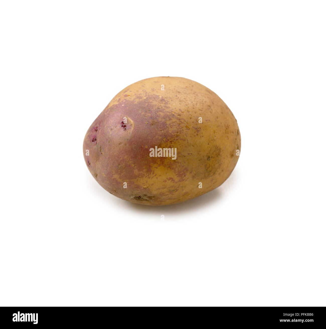 "Patata viola Eyed Seedling ", cresciuto in Gran Bretagna Foto Stock