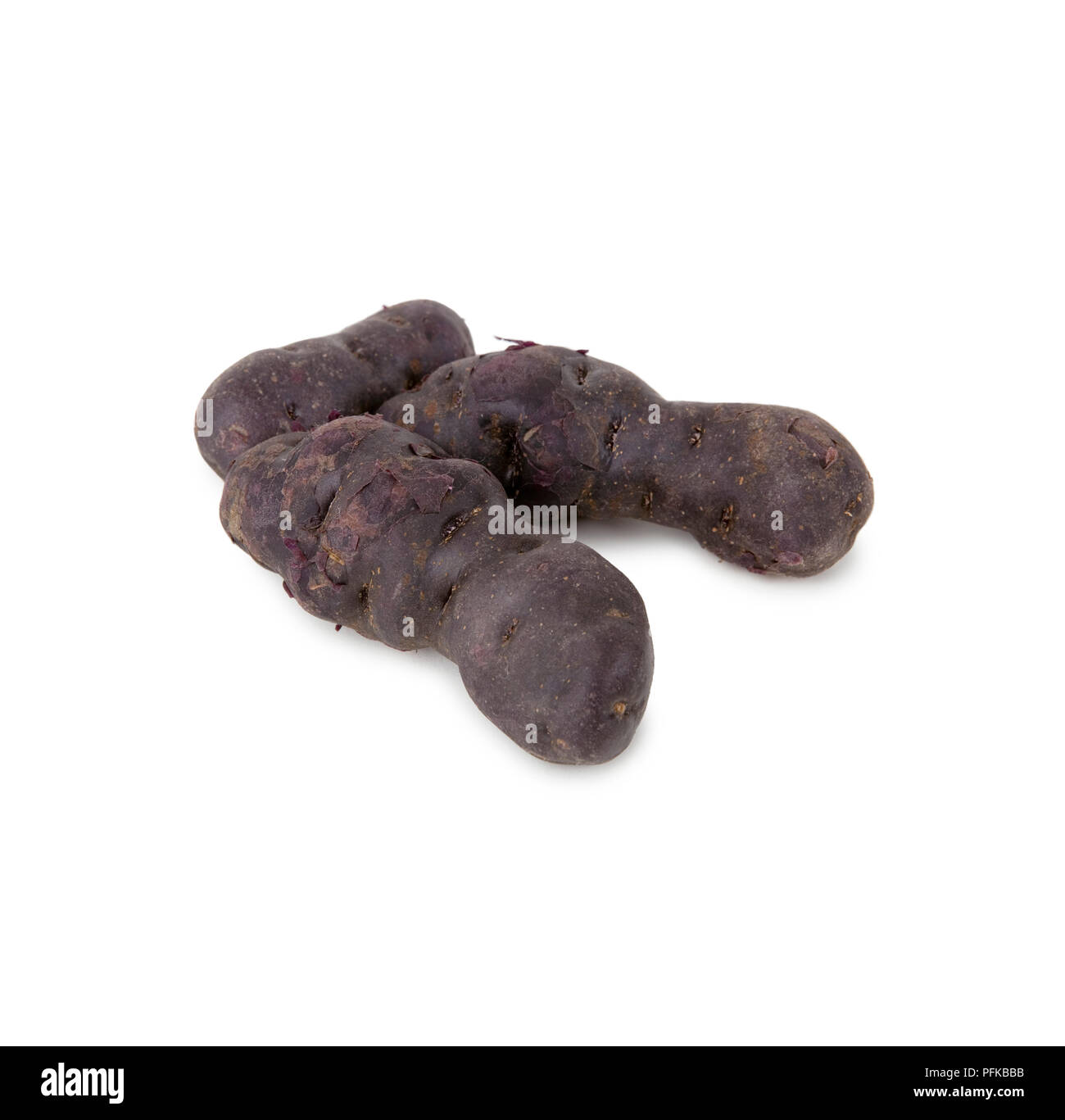 "Patata Vitelotte', knobbly viola, patate coltivate in Gran Bretagna Foto Stock