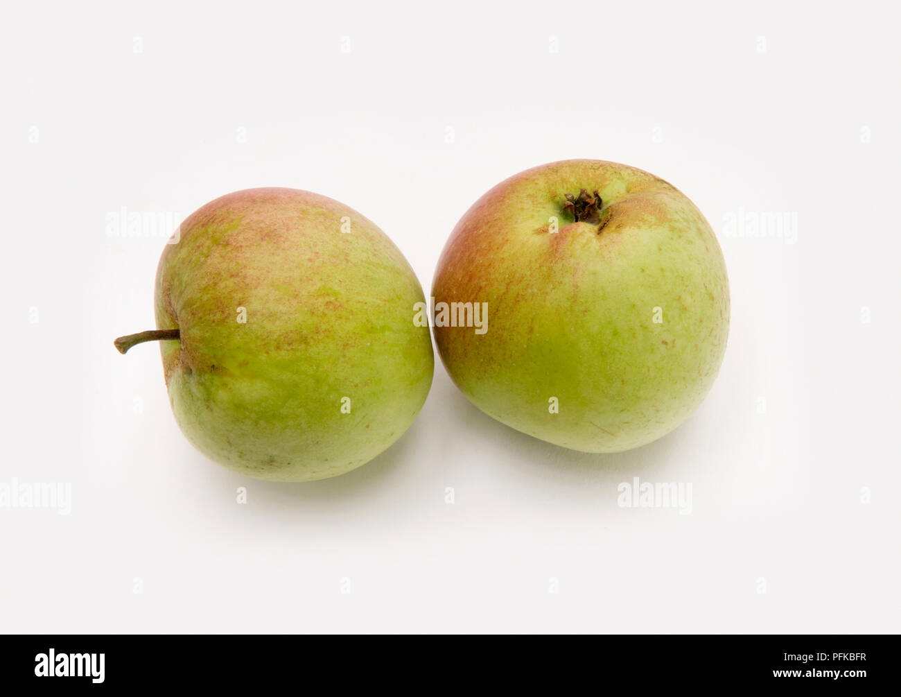 Due mele "Laxton le superbe', cresciuto in Gran Bretagna Foto Stock