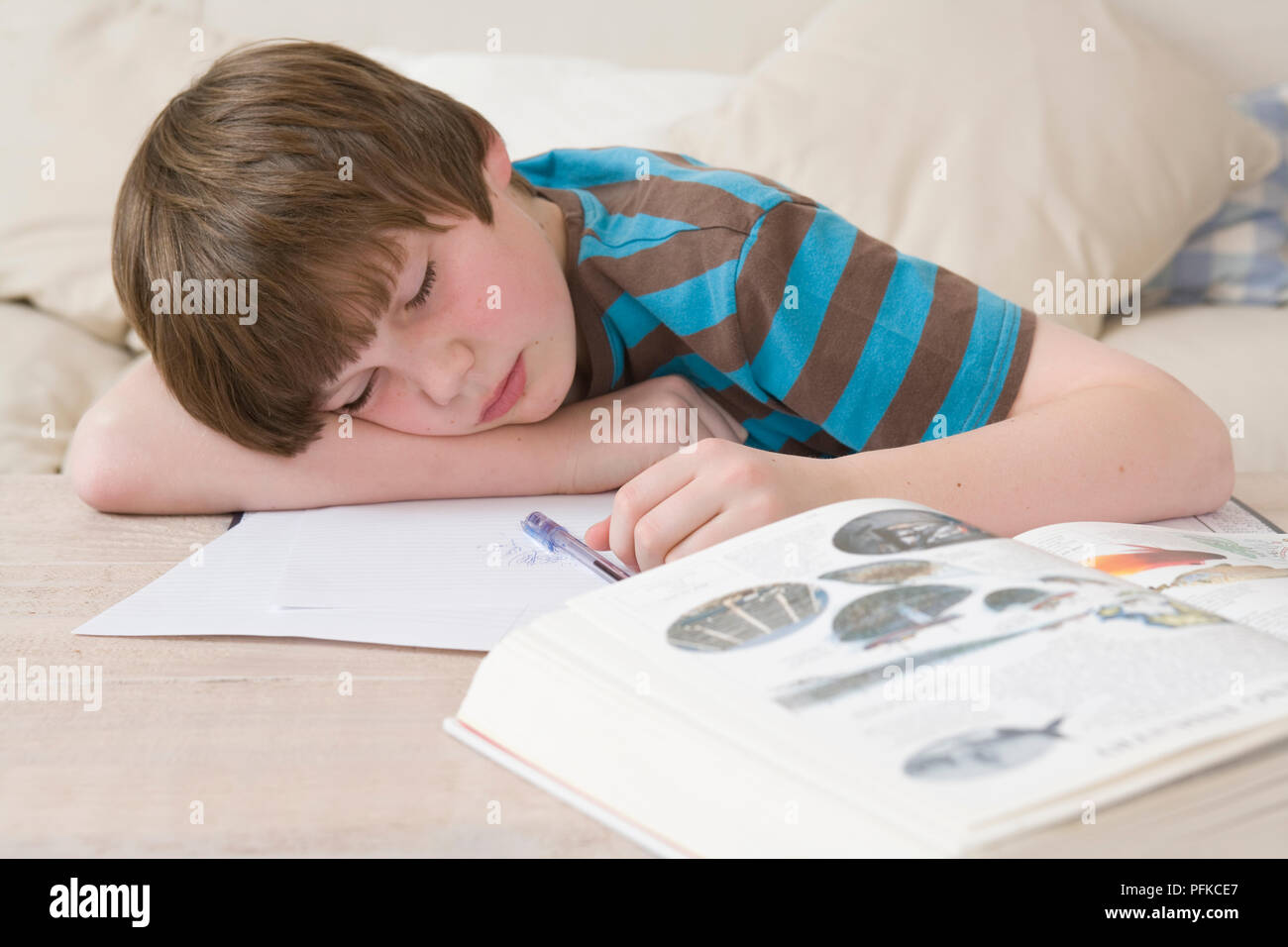 Ragazzo addormentato oltre i suoi compiti, giacente sul letto con un libro di testo aperto, testa in appoggio sul braccio, close-up, vista frontale Foto Stock