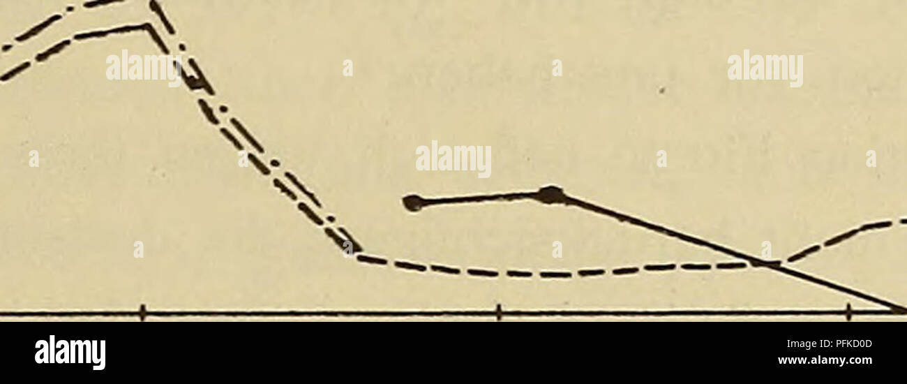 . Denkschriften - Österreichische Akademie der Wissenschaften. . N Alaßstab für die Ordinaten, indem der unbekannte Proportionalitätsfaktor così bestimmt wurde, dass die theoretische Kurve sich in der Gegend der Querschnitte 21 bis 31 (Stationen Comisa, Pelagosa, Ragusa, Meljine) an die Beobachtungen möglichst gut anschließt. In jeder anderen Hinsicht sind die beobachteten und die theoretischen vollkommen Kurven unabhängig voneinander ge'onnen. Zur Darstellung der Quer- schwingungen wurden die Werte ^^ verwendet. Hier ist auch der Maßstab der Ordinaten x'su jeder Willkürlichkeit frei, indem di Foto Stock