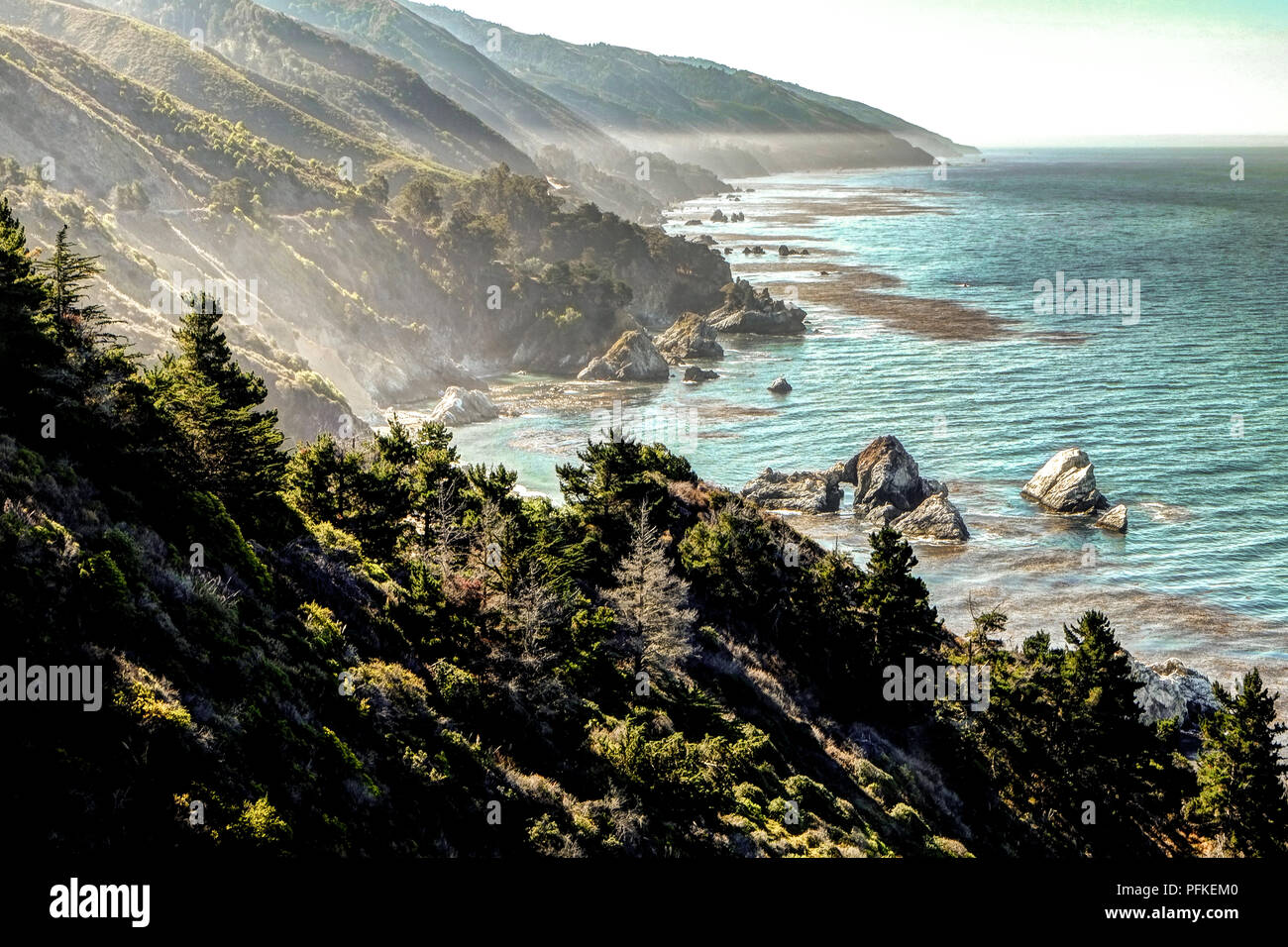 Big Sur, California Foto Stock