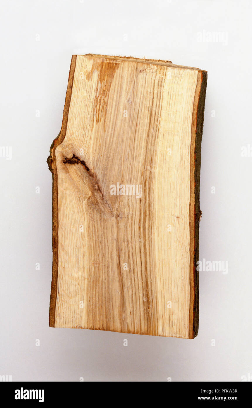 Sezione di tronco che mostra mark dalla potatura Foto Stock