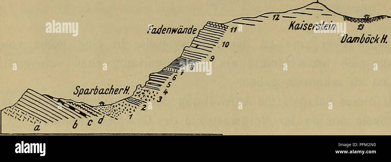 . Denkschriften - Österreichische Akademie der Wissenschaften. 1 = Werfener Schiefer. 2 = Untere Triaskalke und Dolomite. 3 = Graue Knollenkalke mit Horn- steinen. Hohlberg 4 ^ Vertretung der Raibler Schichten. 5 = Schneebergkalk = Vertretung von Hauptdolomit 4- Dach- steinkalk. 6 := Dachsteinkalk. 7 = Kössener-Liasschichten. Sieding 3 = Gpsauschichten. X = Auftreten von Schubschollcn. Zu ^4 gehört das Spezialprofil Fig. 10 Z;. Zu B gehört das Spezialprofil Fis. 10 c. Fig. 10 &AMP;. Un Kaiserstein Damböcidf. Voralpine Decke. a := Hauptdolomit b = Dachsteinkalk c = Kössener Schichten d = Lias-Ju Foto Stock