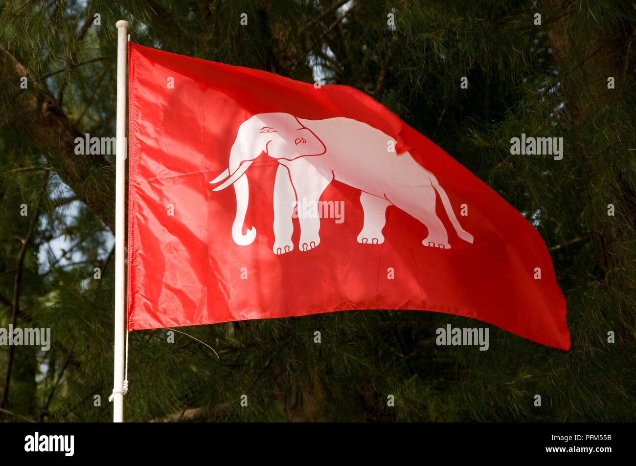 Thailandia, la storica bandiera del Siam, rosso con elefante bianco Foto Stock