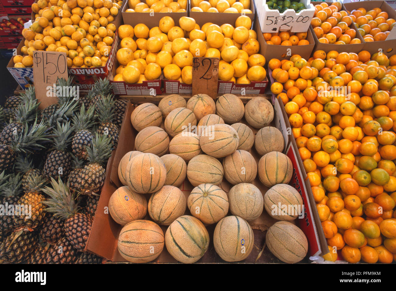 Coltivati localmente la frutta in vendita presso il Queen Victoria Market. Foto Stock
