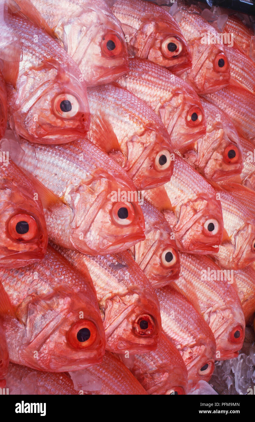 Australia, red snapper sul display a Wollongong Mercato del Pesce. Foto Stock