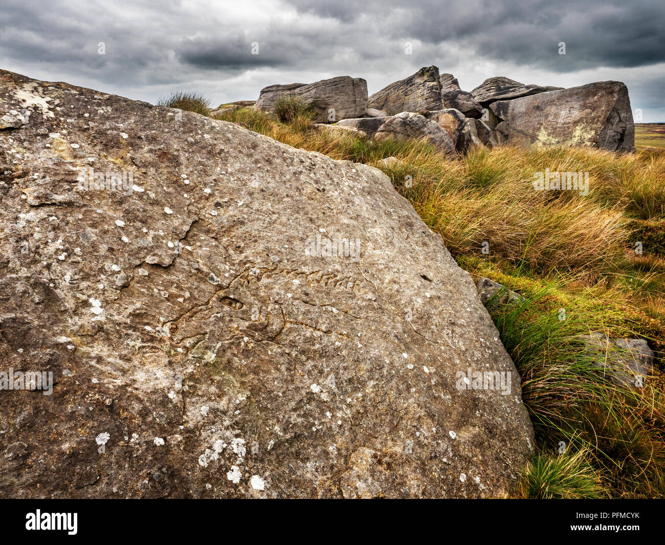 Boulder con testa di cavallo carving su Burley Moor West Yorkshire Inghilterra Foto Stock