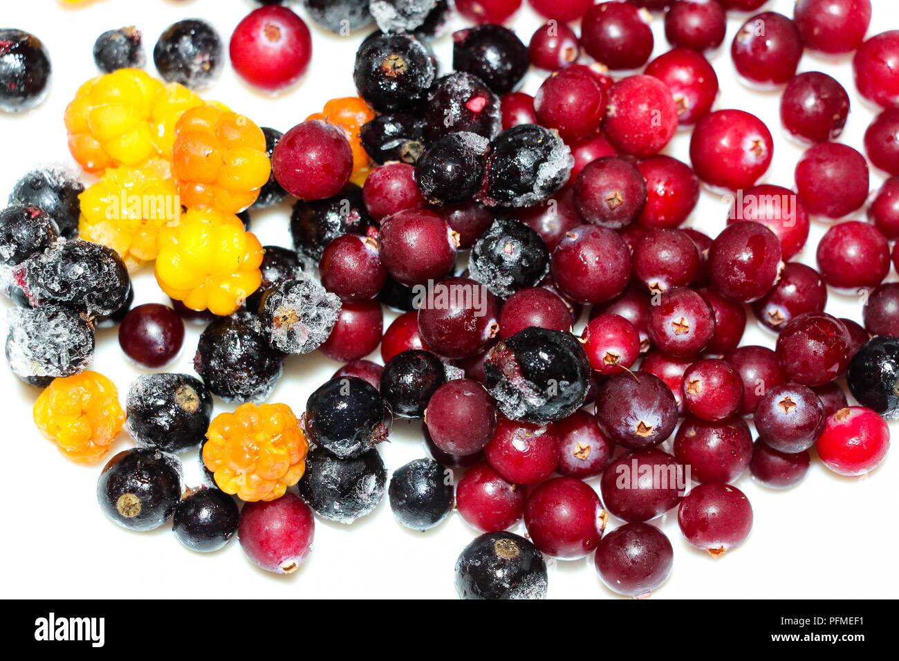 Fresco di frutti di bosco surgelati per la cottura di cibi o bevande. Morozhka, mirtilli e mirtilli - congelati hanno mantenuto la loro freschezza e vitamine. Foto Stock