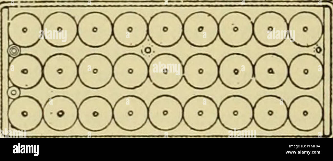 . Dell'enciclopedia degli animali della fattoria. Animali domestici; di prodotti di origine animale. 192 FABBRICAZIONE DI LATTE CONDENSATO ent fabbriche, l'esperienza ha mostrato che circa quindici a venti-cinque libbre di pressione del vapore in giacca e bobine, un vuoto di venti-cinque pollici e una temperatura di storta di 130° Fahr., dare i risultati più soddisfacenti. Questo rapporto di pressione del vapore, temperatura e vuoto rendono possibile | per condensare un lotto di 15.000 sterline, di latte in circa due ore e mezza. Alcuni processori non aggiungere la canna-zucchero fino ad ottenere la condensazione è stato quasi completato. Il latte viene poi gonfiata dall' Foto Stock