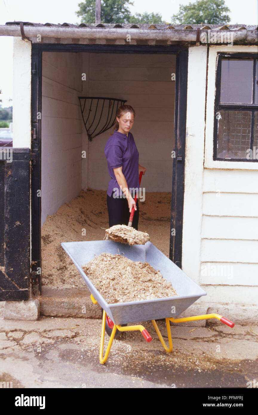 Ragazza scuderie di pulizia fuori con spade e la carriola Foto Stock