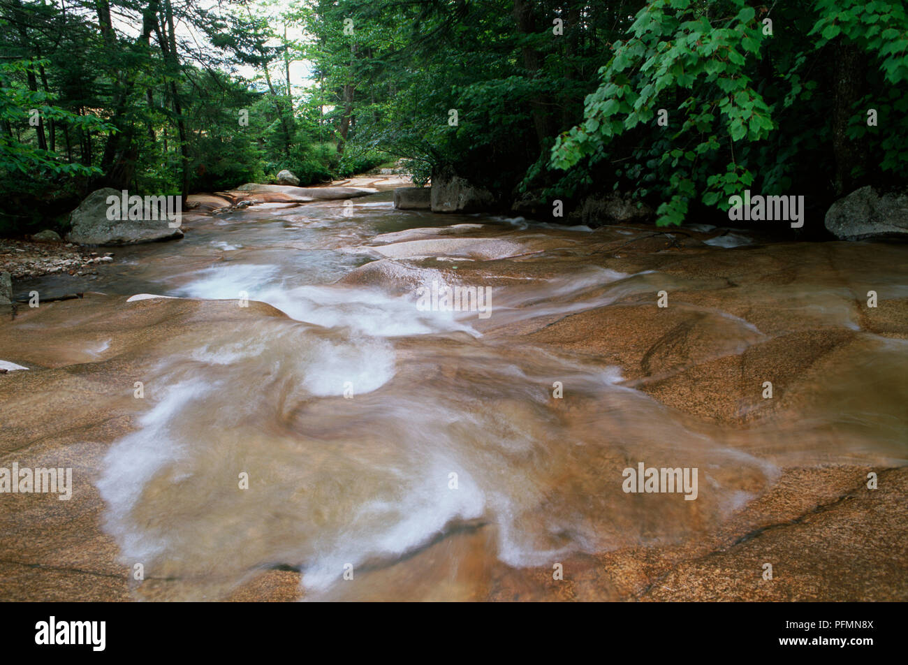 Stati Uniti d'America, New Hampshire, Franconia Notch, membro Parkl, cascata presso il bacino si svuota in una grande buca di granito. Foto Stock