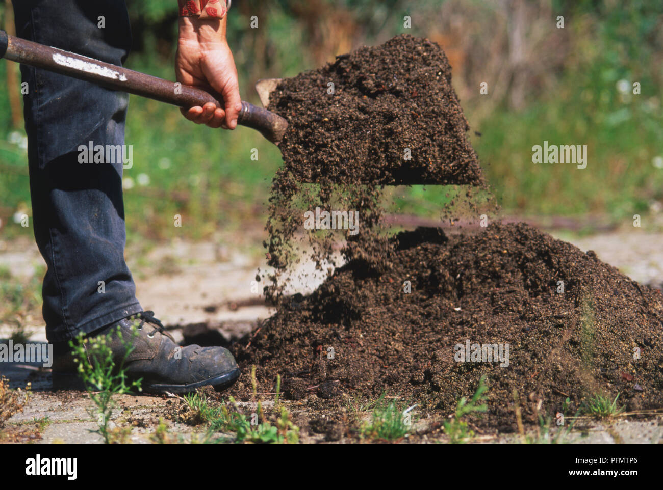 Utilizzando a lungo gestito vanga per sollevare il mix di fertilizzante e suolo, vicino. Foto Stock