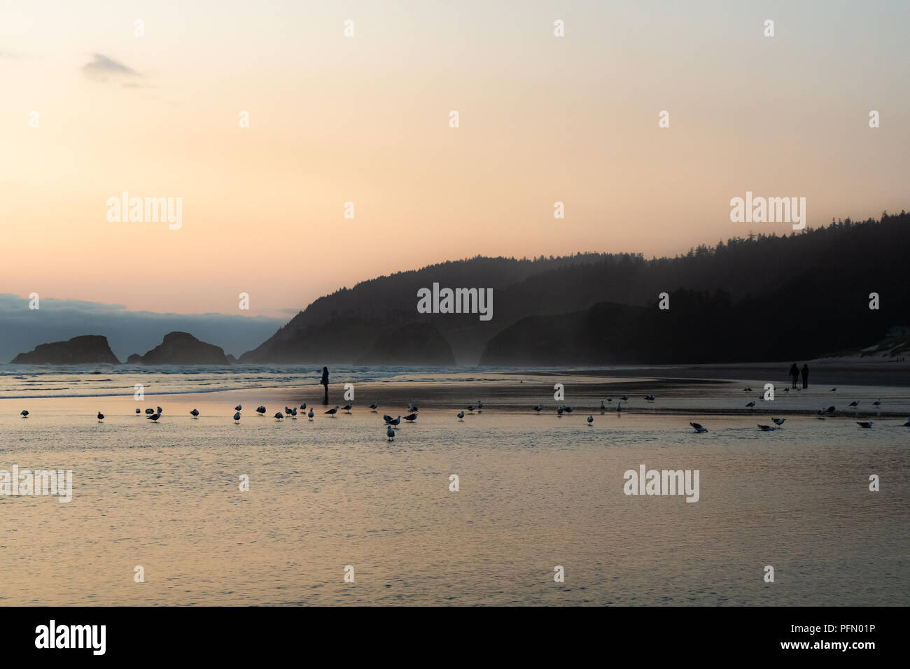 Cannon Beach al crepuscolo con persone sagome e Flock of Seagulls lungo la riva. Ecola State Park in background. Oregon Coast, US Route 101, US Foto Stock