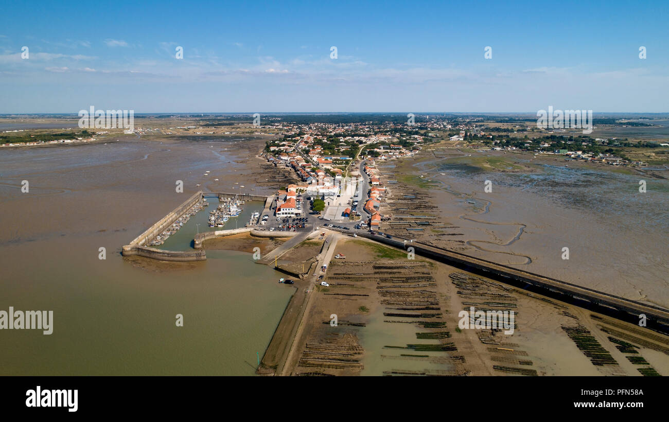 Vista aerea del punto Chapus in Charente Maritime Foto Stock