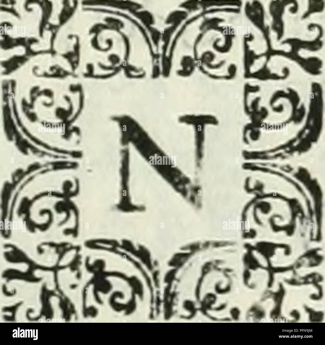 Voce N Immagini E Fotos Stock Alamy