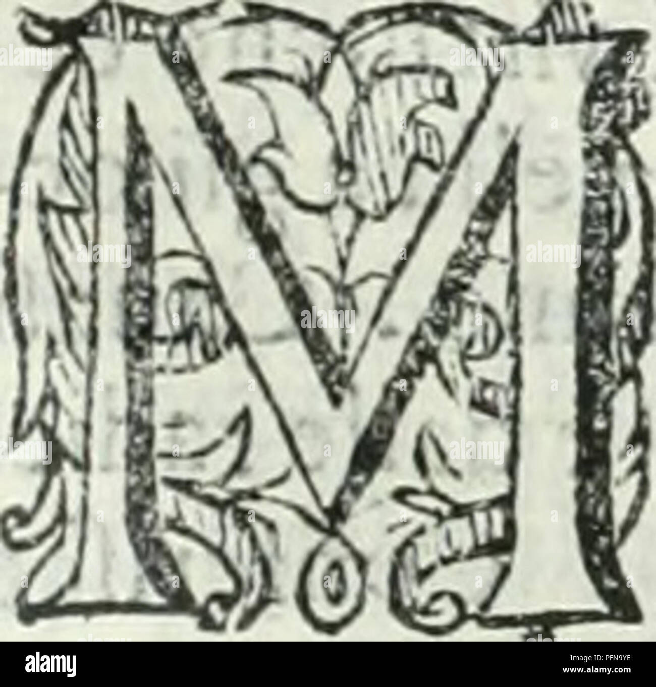 Voce N Immagini E Fotos Stock Alamy