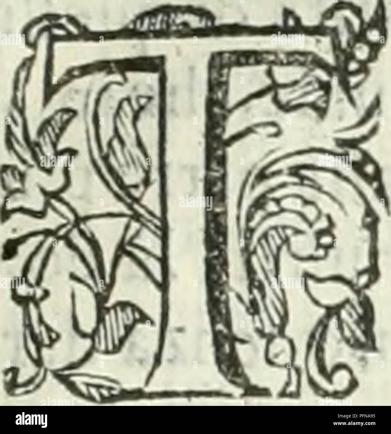 . Dell'elisir vitÃ¦. Elisir di vita; distillazione e Alchemy; piante medicinali; medicina; Workshop ricette. Di Fra Donato Eremita Lib. 111 19. Fondamenti, e ragioni, perche poi facilmente fi fciolgano i precedenti argomenti â ¢ Capitolo 11. Le Ralafciate famofe fperienze del noftro elisir , andere mo fÃ¬ficamente difcotrendo qual poffaeflere la cagione , Ã² puro in qual modo in vno fteflo medicamento (ledano virtÃ¹ cosÃ¬ fÃ¬ngolari. Et hauendo in ciÃ² noi lungo tempo penfato per quel che potrebbe dirli, ancor che il negotio fia molto difficile, per non edere infin qua abbaflanza toccato da al-c Foto Stock