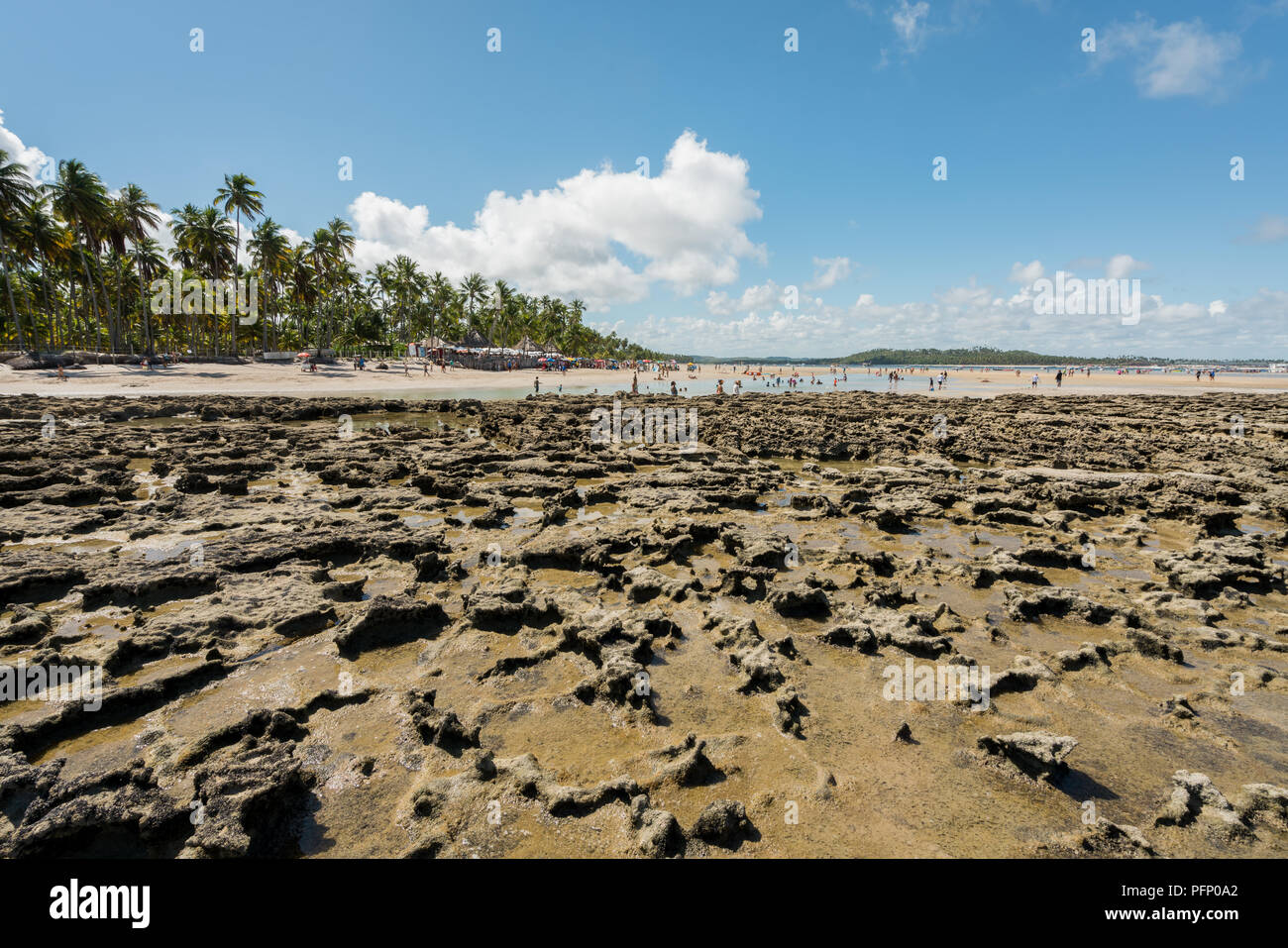 Paradiso tropicale Coral Beach in Brasile, Carneiros Beach, Pernambuco Foto Stock