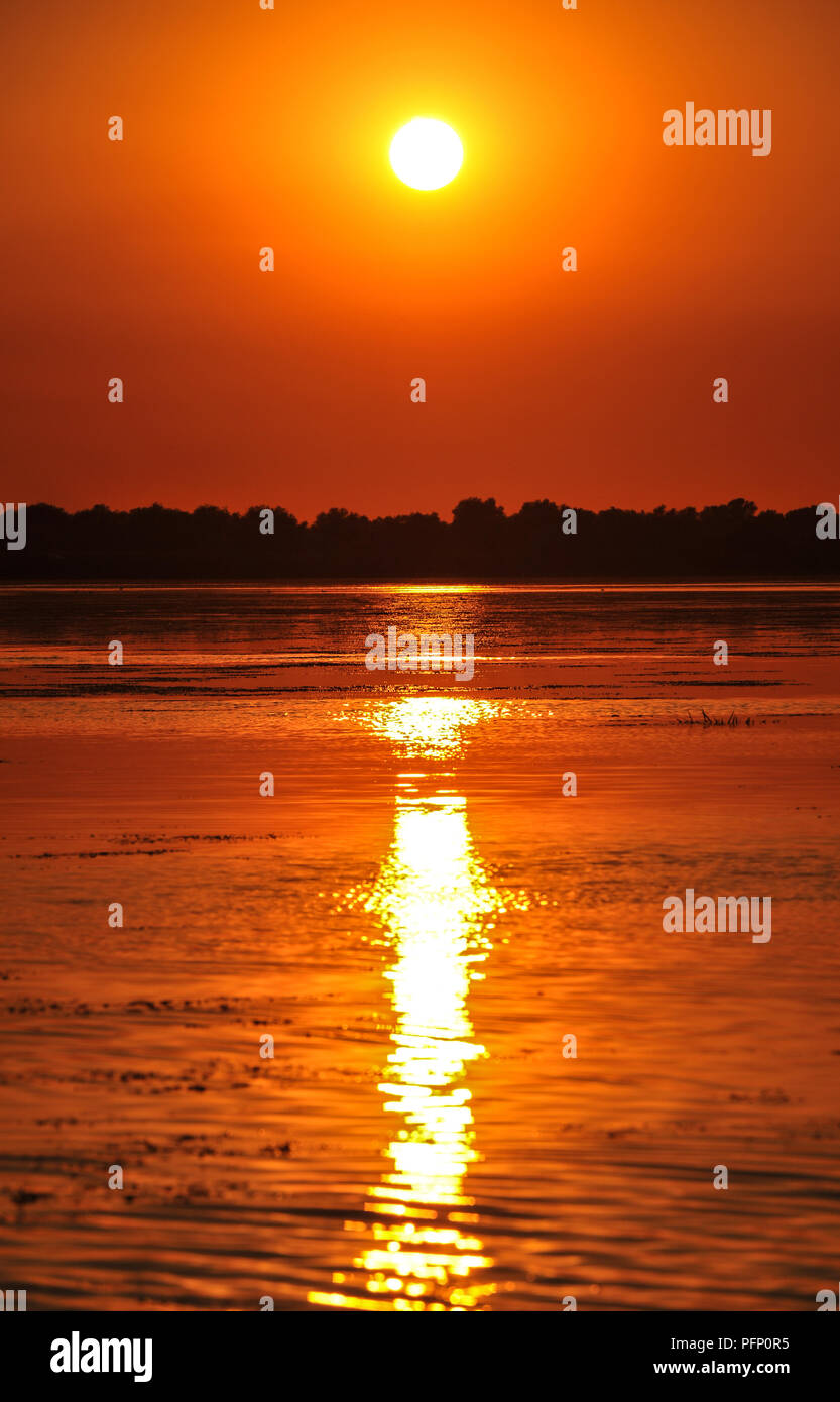 Tramonto nel delta del Danubio Romania.belle luci bluastre in acqua.tramonto stupendo paesaggio dal Delta del Danubio Riserva della Biosfera in Romania Foto Stock