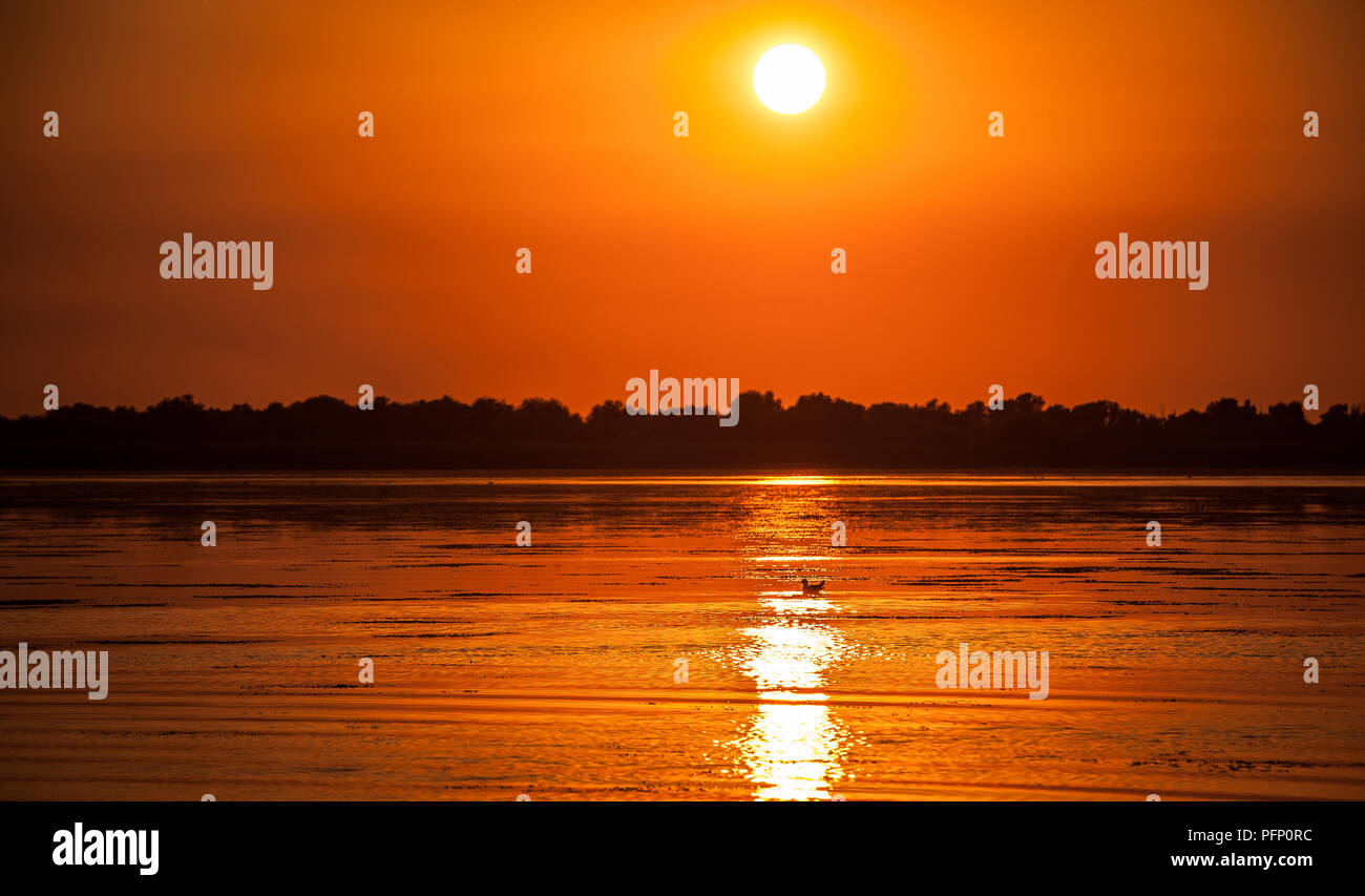 Tramonto nel delta del Danubio Romania.belle luci bluastre in acqua.tramonto stupendo paesaggio dal Delta del Danubio Riserva della Biosfera in Romania Foto Stock