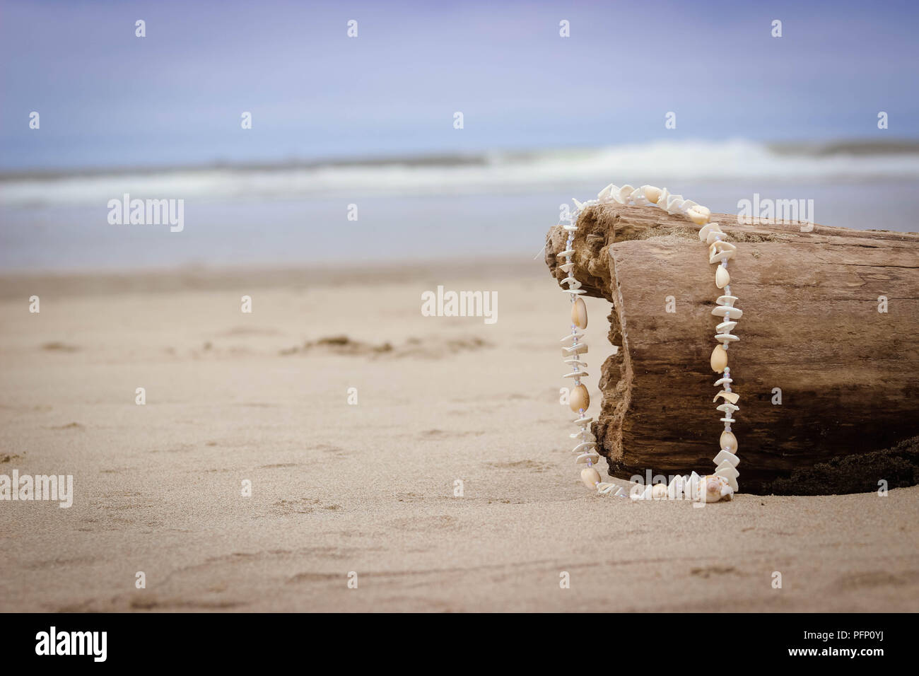 Collana Shell lasciato sulla spiaggia di Oregon Foto Stock