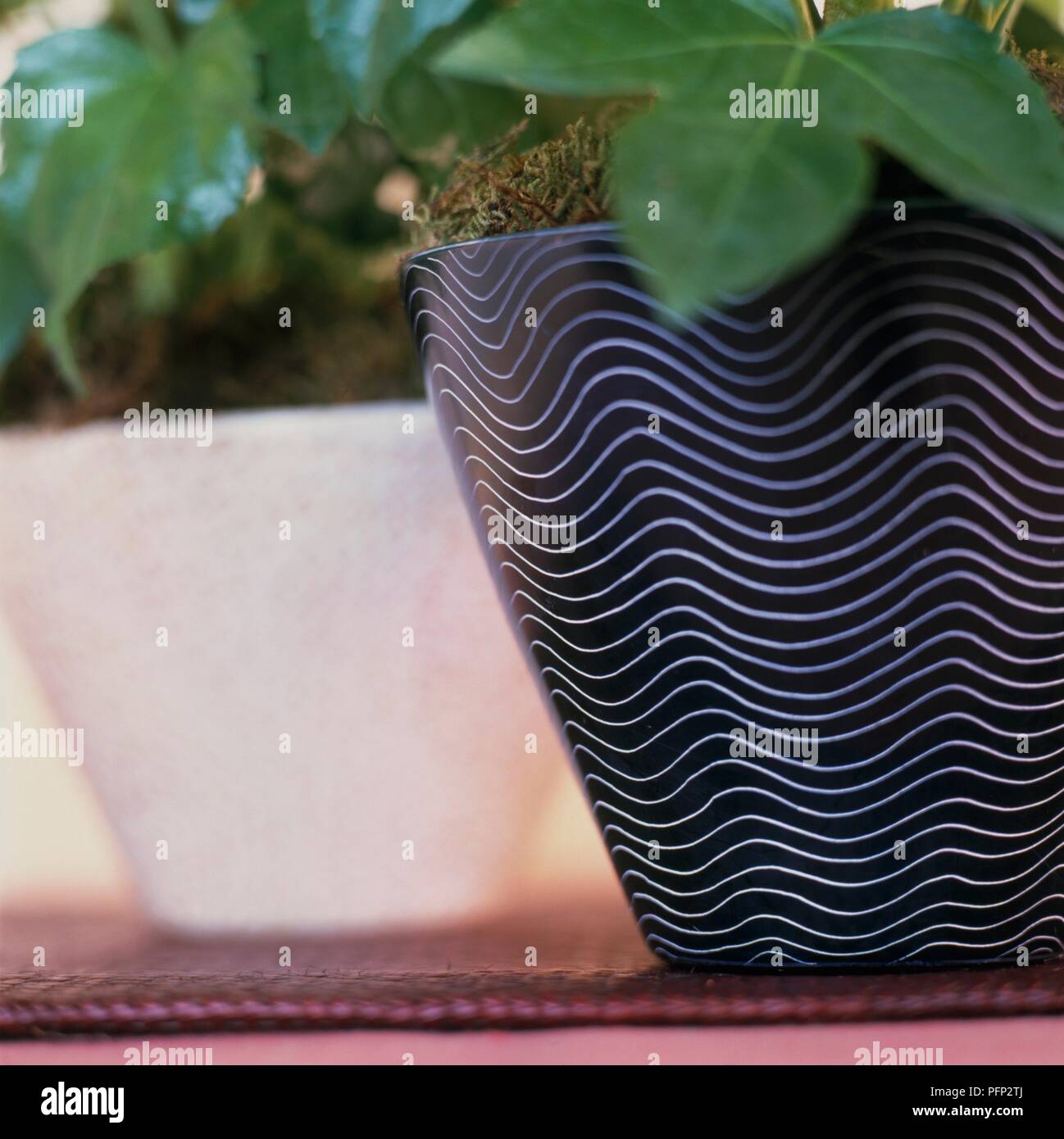Nero vaso in ceramica decorata con ondulate linee bianche, close-up Foto Stock