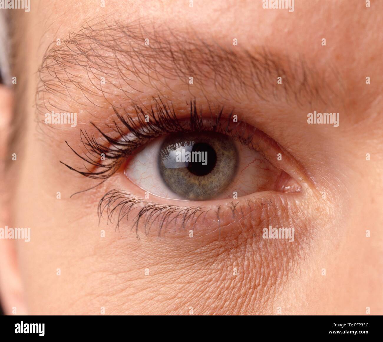 Close-up su una donna di occhio Foto Stock