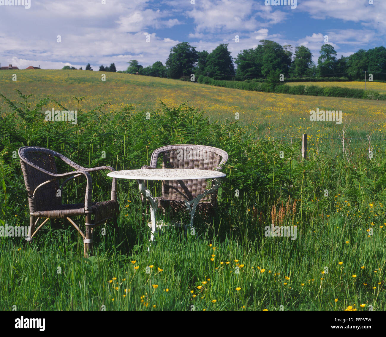 Tavolo da giardino rotondo e due sedie di vimini nel paese verde prato cosparso di renoncules. Foto Stock