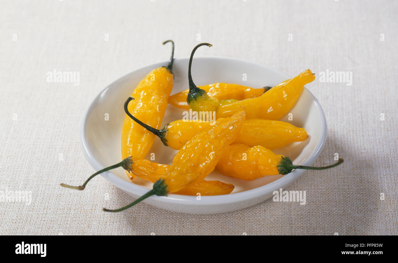 Il capsicum baccatum (Aji amarillo), giallo peperoncino su un piatto, close-up Foto Stock