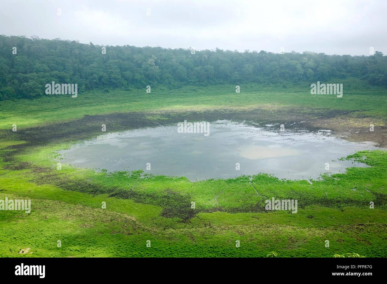 Kenya, Marsabit National Park, Lago Paradiso, il cratere del lago circondato da vegetazione verde Foto Stock