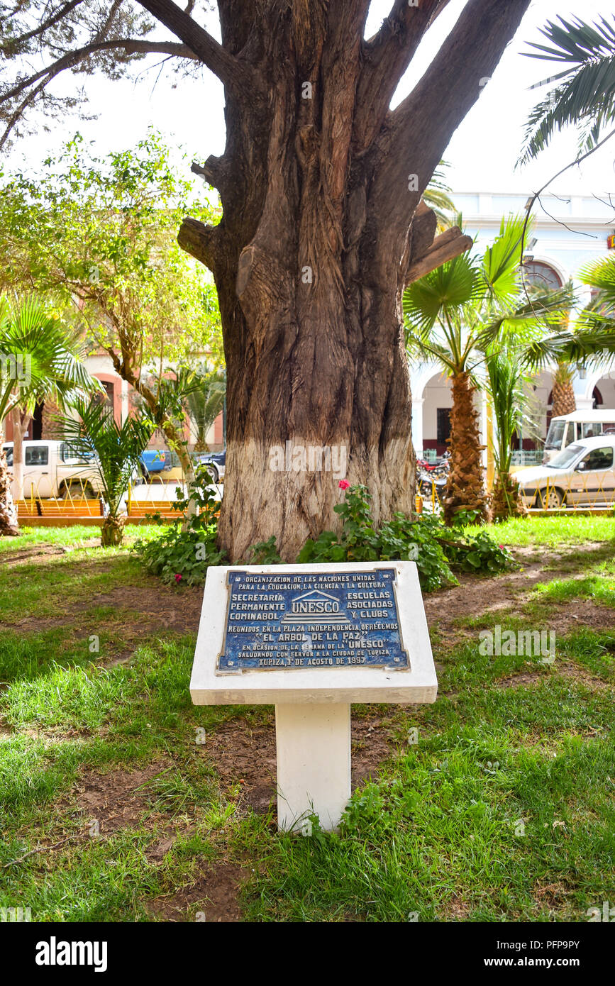 Il Arbol de La Paz (albero della pace), in Plaza Independencia, Tupiza, Bolivia Foto Stock