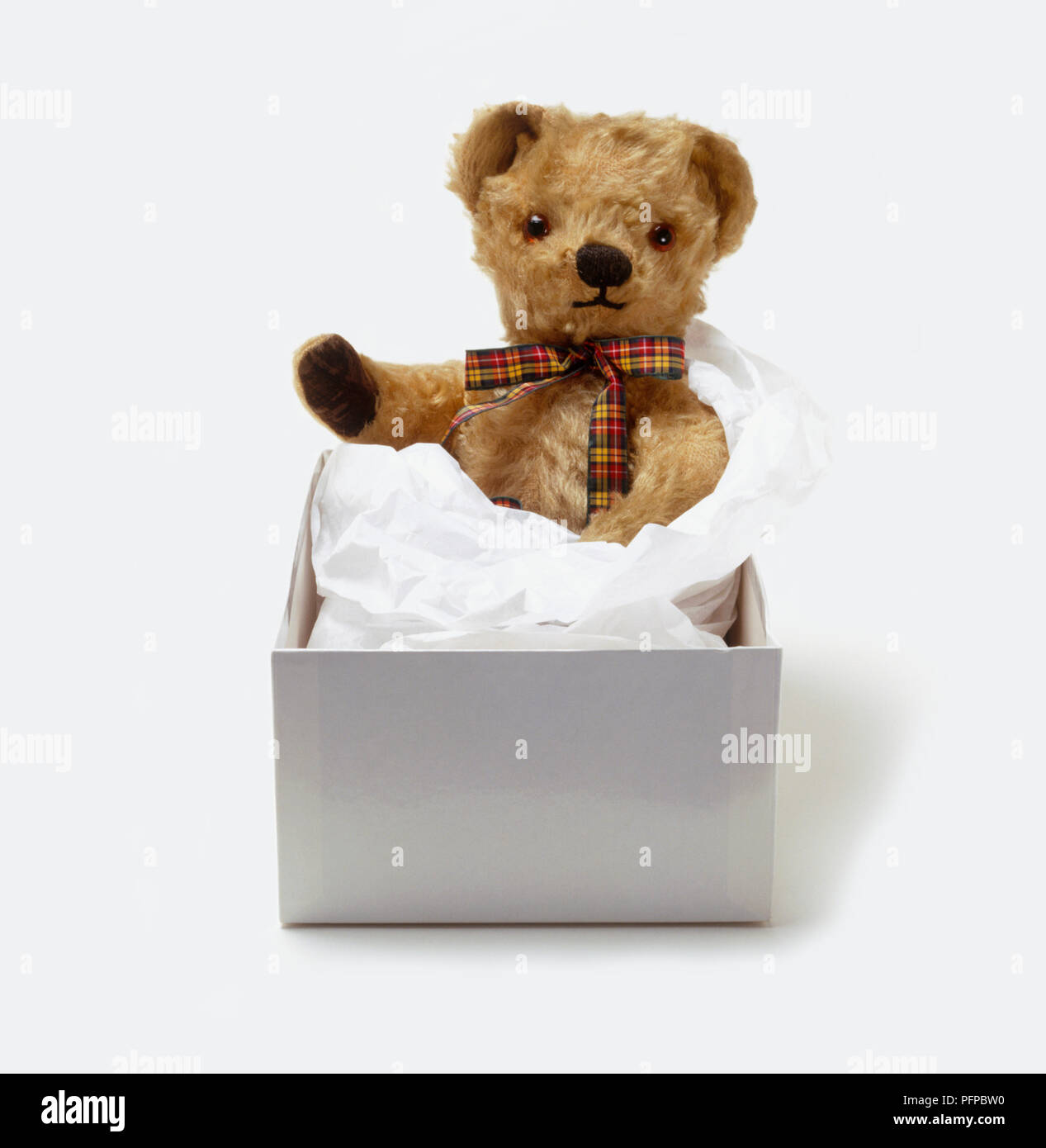 Orsacchiotto di peluche con un tartan bow intorno al suo collo, avvolto in carta tissue, in una scatola Foto Stock