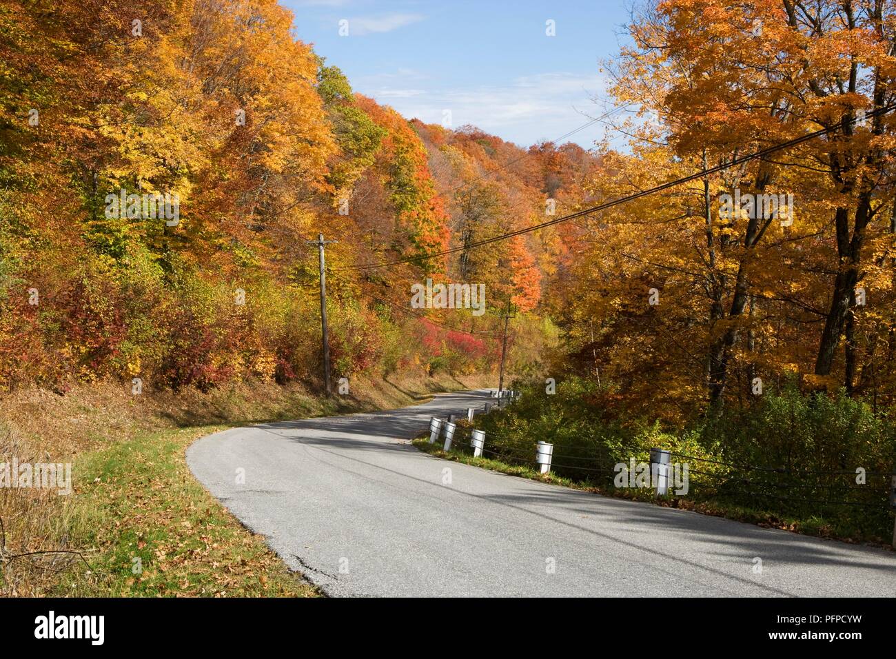 Stati Uniti d'America, Vermont, Mount Equinox, Skyline Drive, alberi con foglie di autunno strada del rivestimento Foto Stock