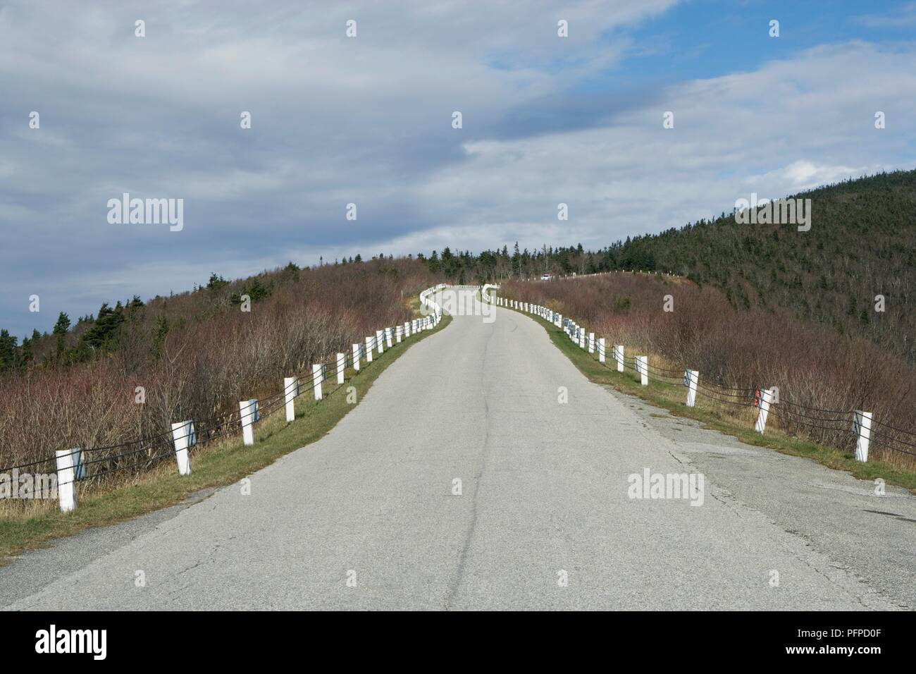 Stati Uniti d'America, Vermont:, Mount Equinox, Skyline Drive, avvolgimento su strada attraverso le montagne verdi Foto Stock