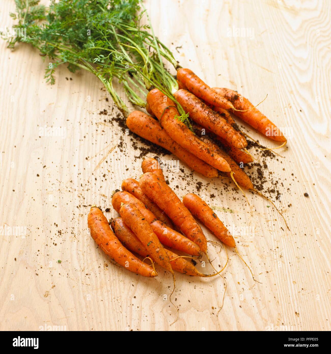 Le carote con fango su una superficie di legno, close-up Foto Stock