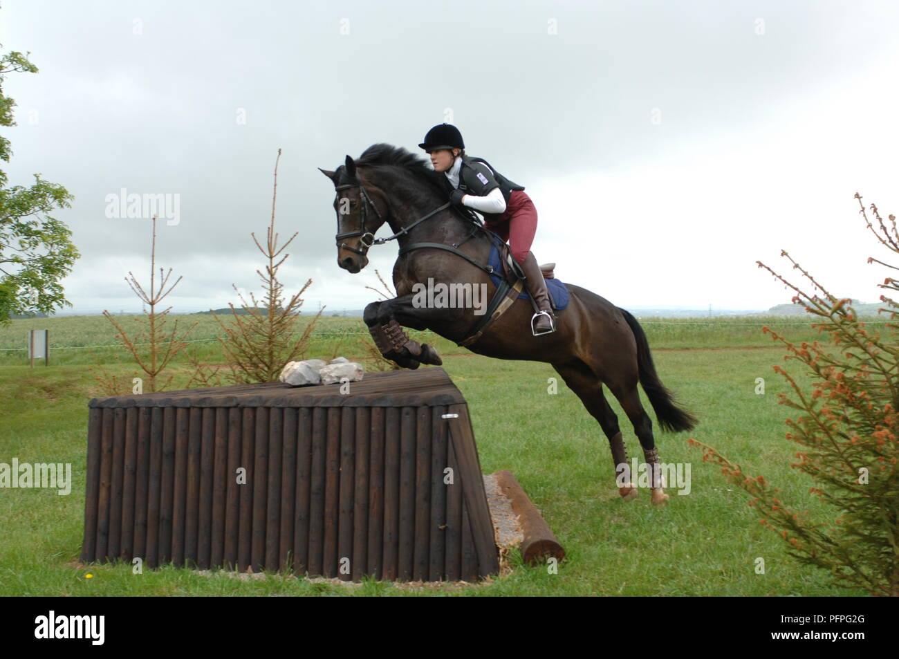 Equitazione donna cavallo marrone, jumping cross-country ostacolo Foto Stock