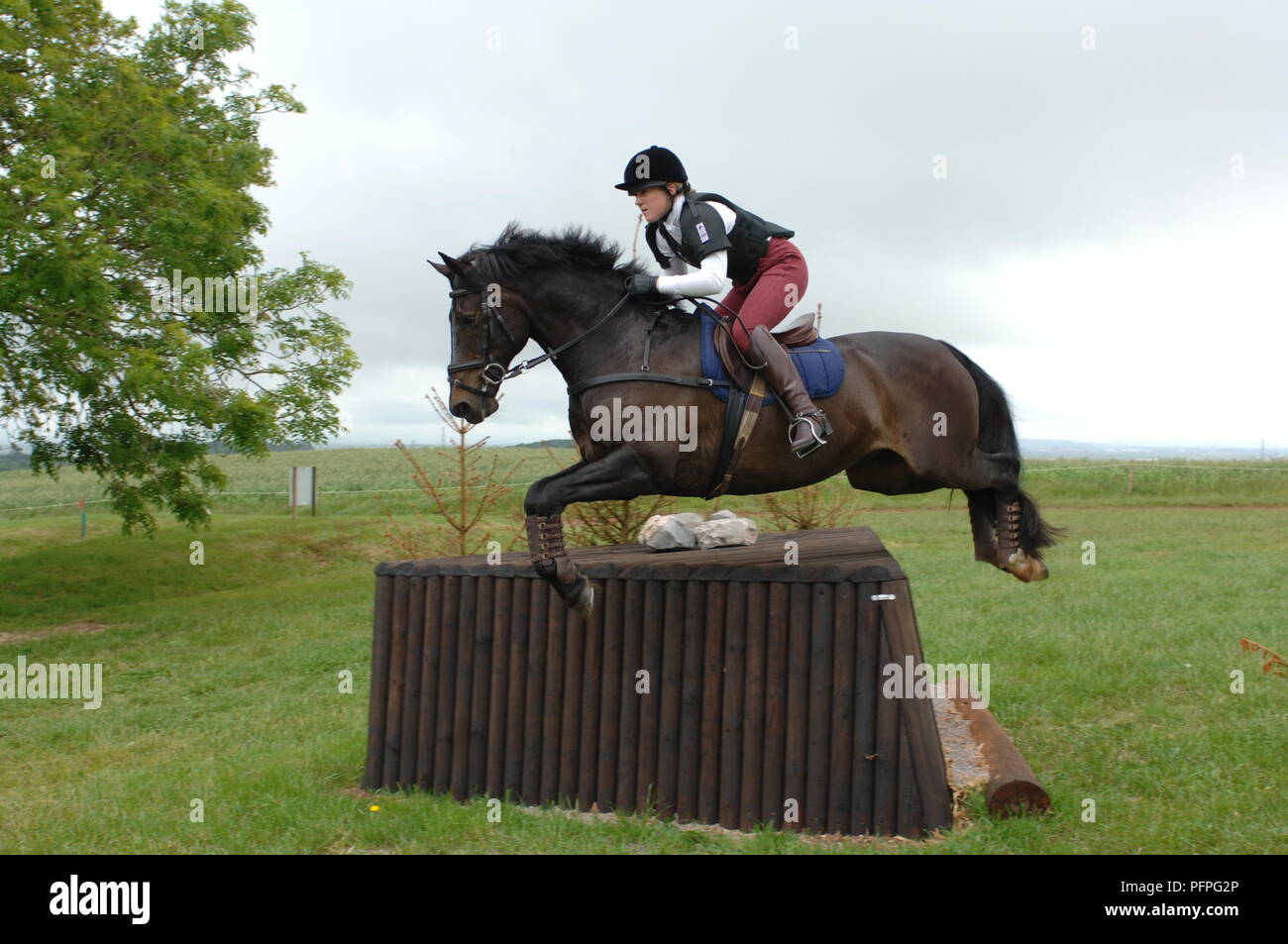 Giovane donna di equitazione su registro triangolare salta sul equestrian cross-country Foto Stock