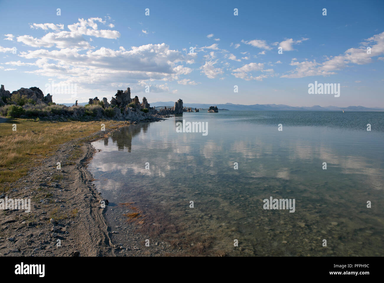 Stati Uniti, California, Mono County, Mono Lago, lakeshore Foto Stock