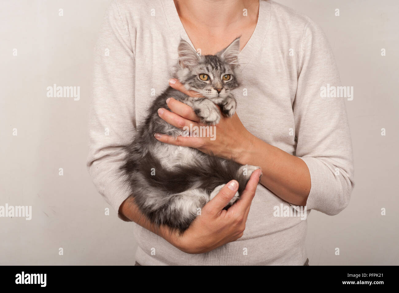 Donna che mantiene cat correttamente dal supporto di fondo sotto il braccio con zampe posteriori in una mano e tenendo le gambe anteriori in prossimità della testa Foto Stock