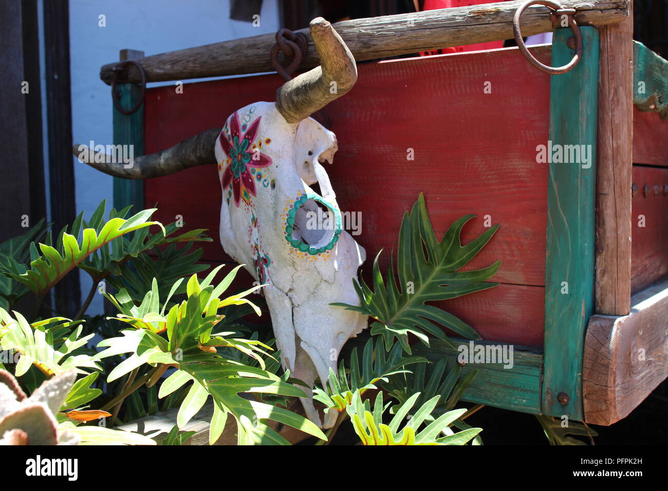 Il teschio di bufalo dipinta in stile messicano sul colorato scatola di legno. Autentica arte popolare messicana decorazioni Foto Stock