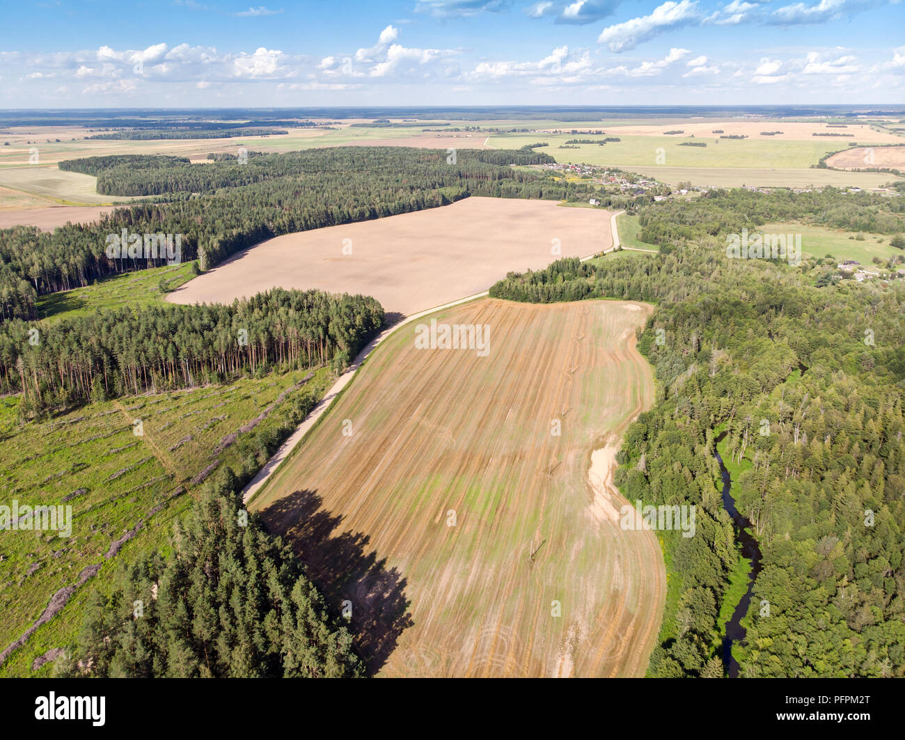 Antenna vista superiore dell'estate paese paesaggio. campi agricoli e foreste vista superiore Foto Stock
