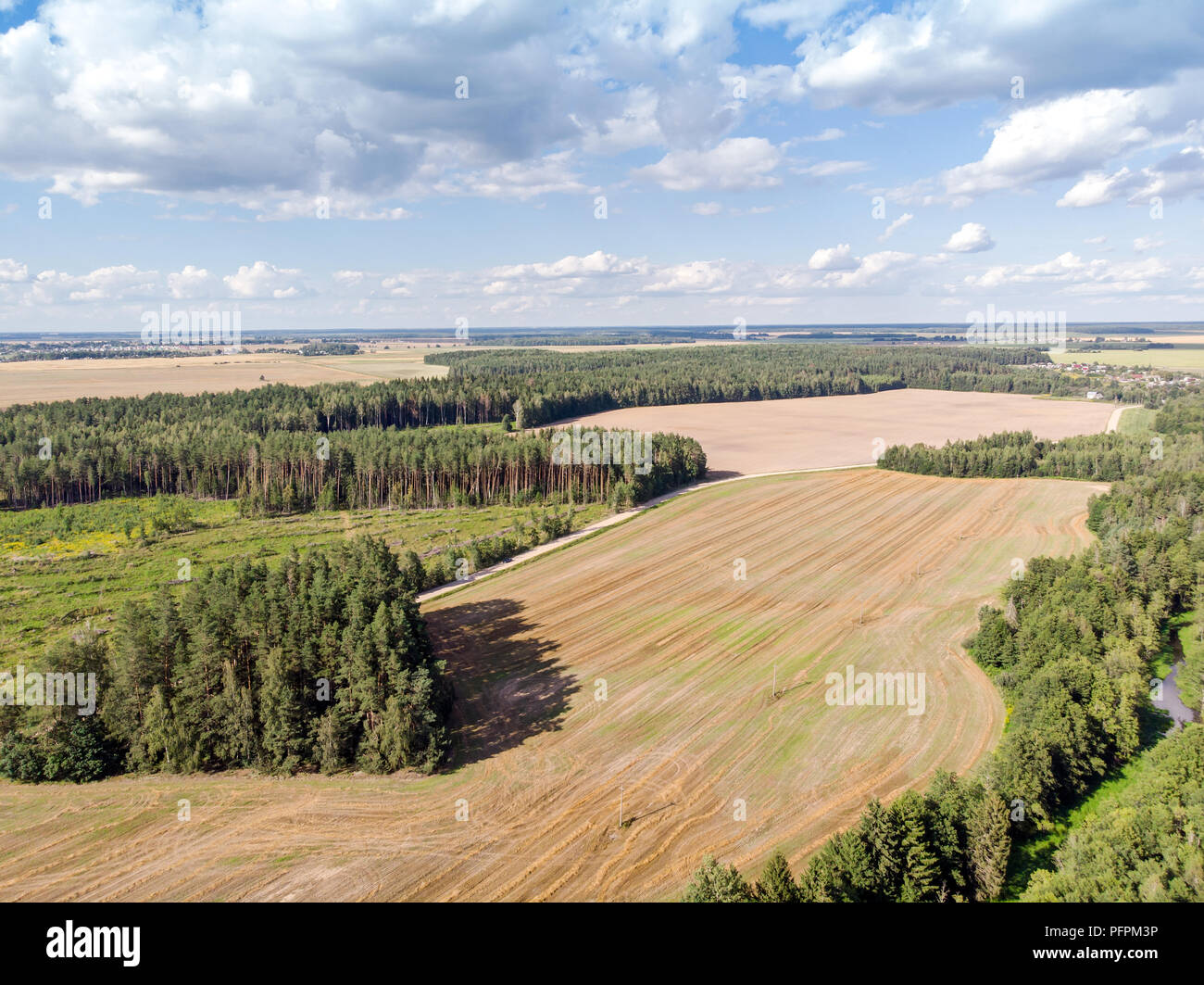 Il paesaggio agricolo antenna vista superiore. paese di campi e foreste verdi. drone fotografia Foto Stock