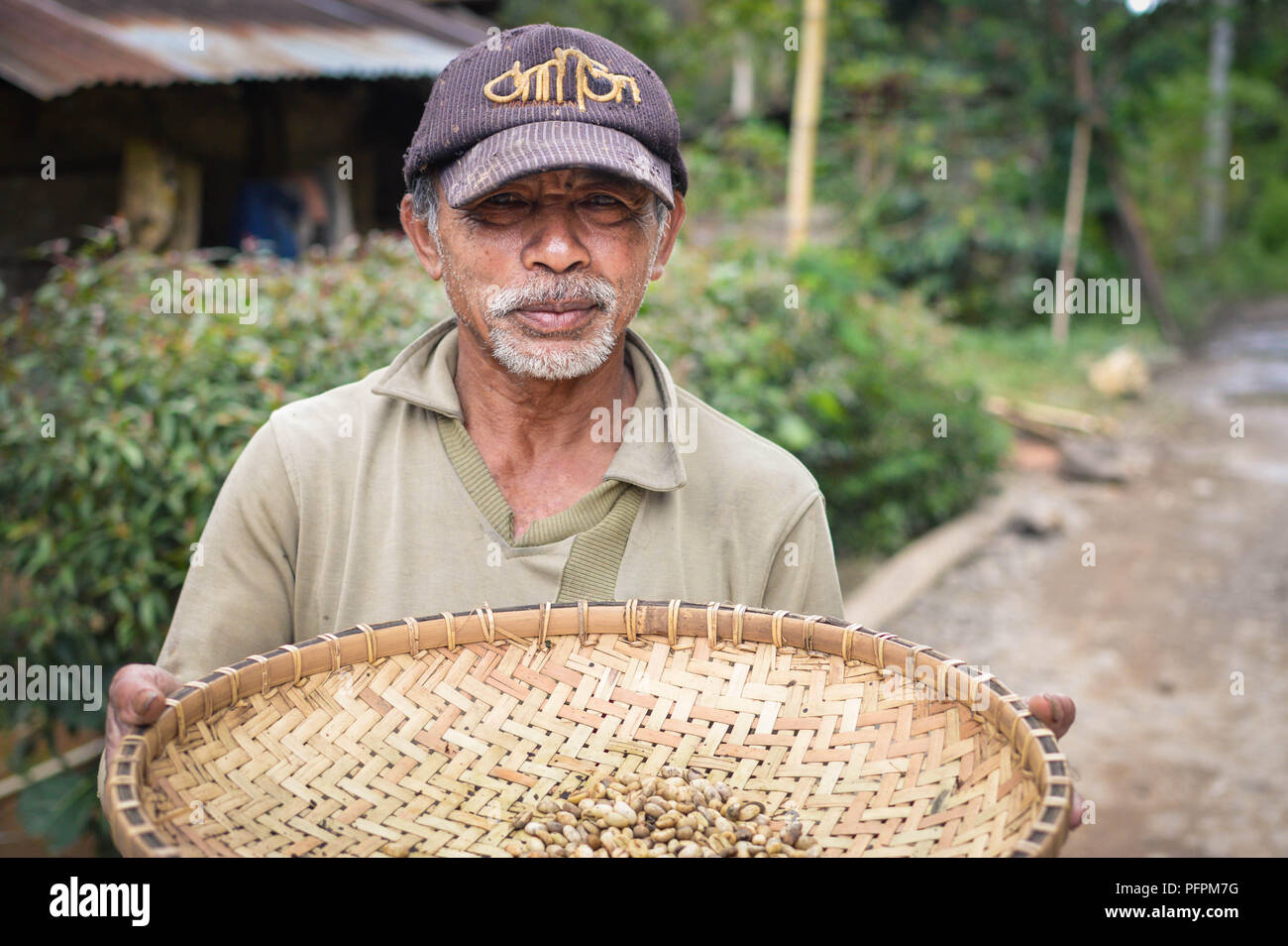 Sulawesi, Indonesia - 5 Luglio 2018: agricoltore sundries i suoi chicchi di Arabica alla loro piccola piantagione di caffè in Toraja highlands. Toraja caffè Arabica è k Foto Stock