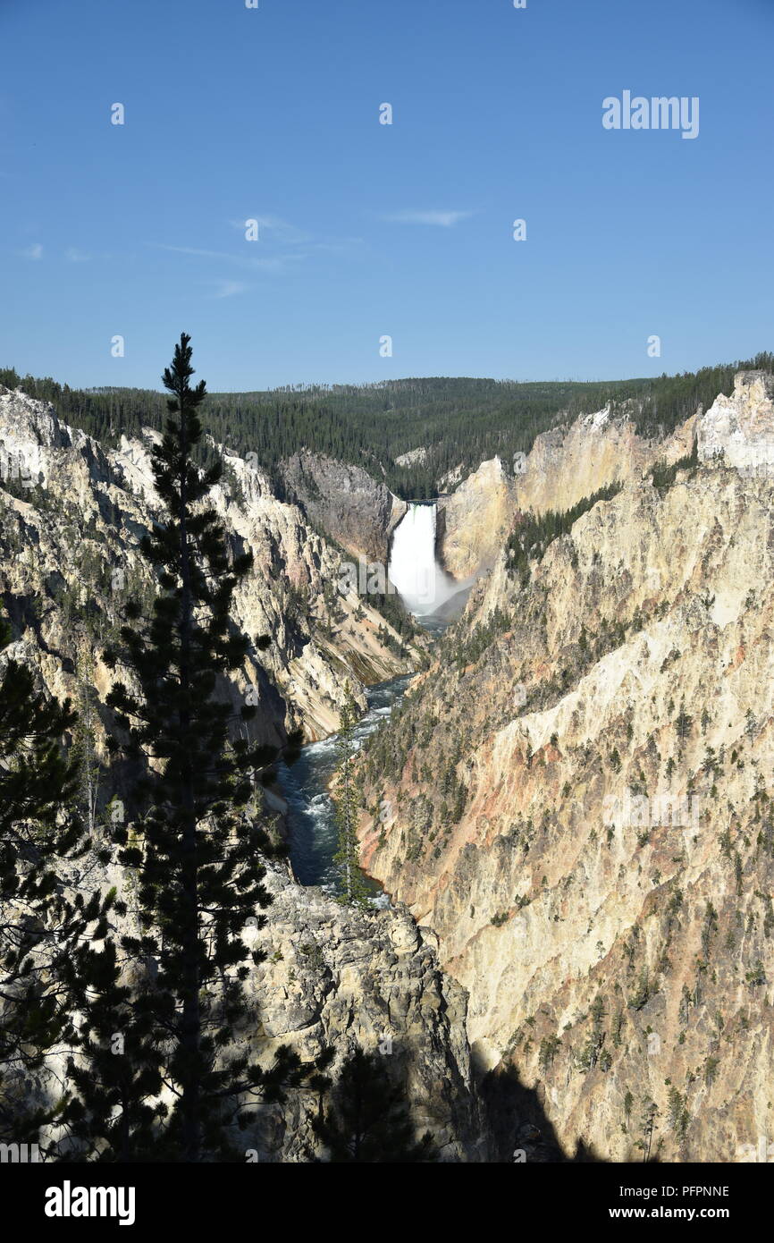 Abbassare cascate del Parco Nazionale di Yellowstone Foto Stock