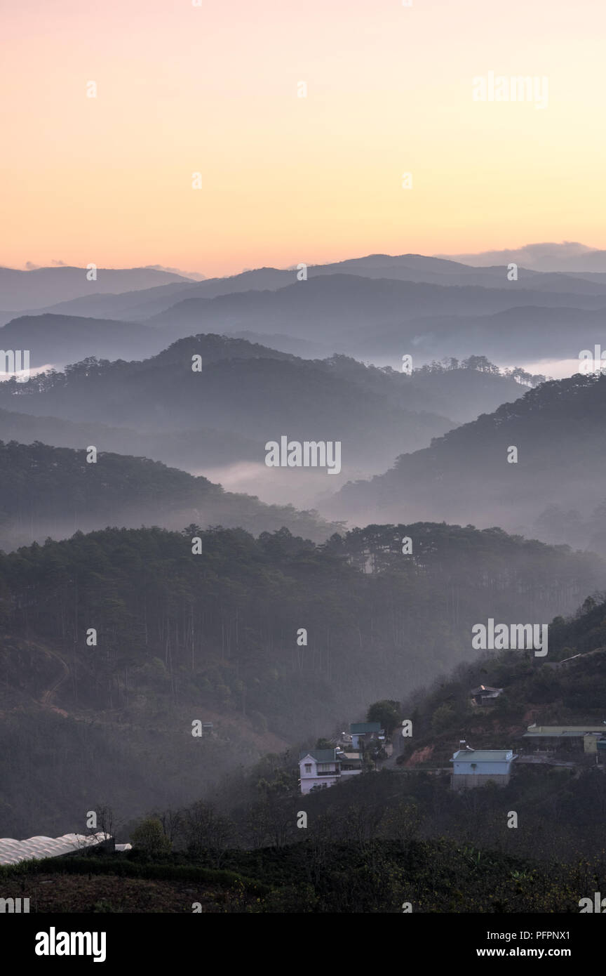 Giganti del cielo e delle nubi del paesaggio con la nebbia all'alba, gli orari di alba e tramonto. pineta nella nebbia con sunray, sunshine Foto Stock