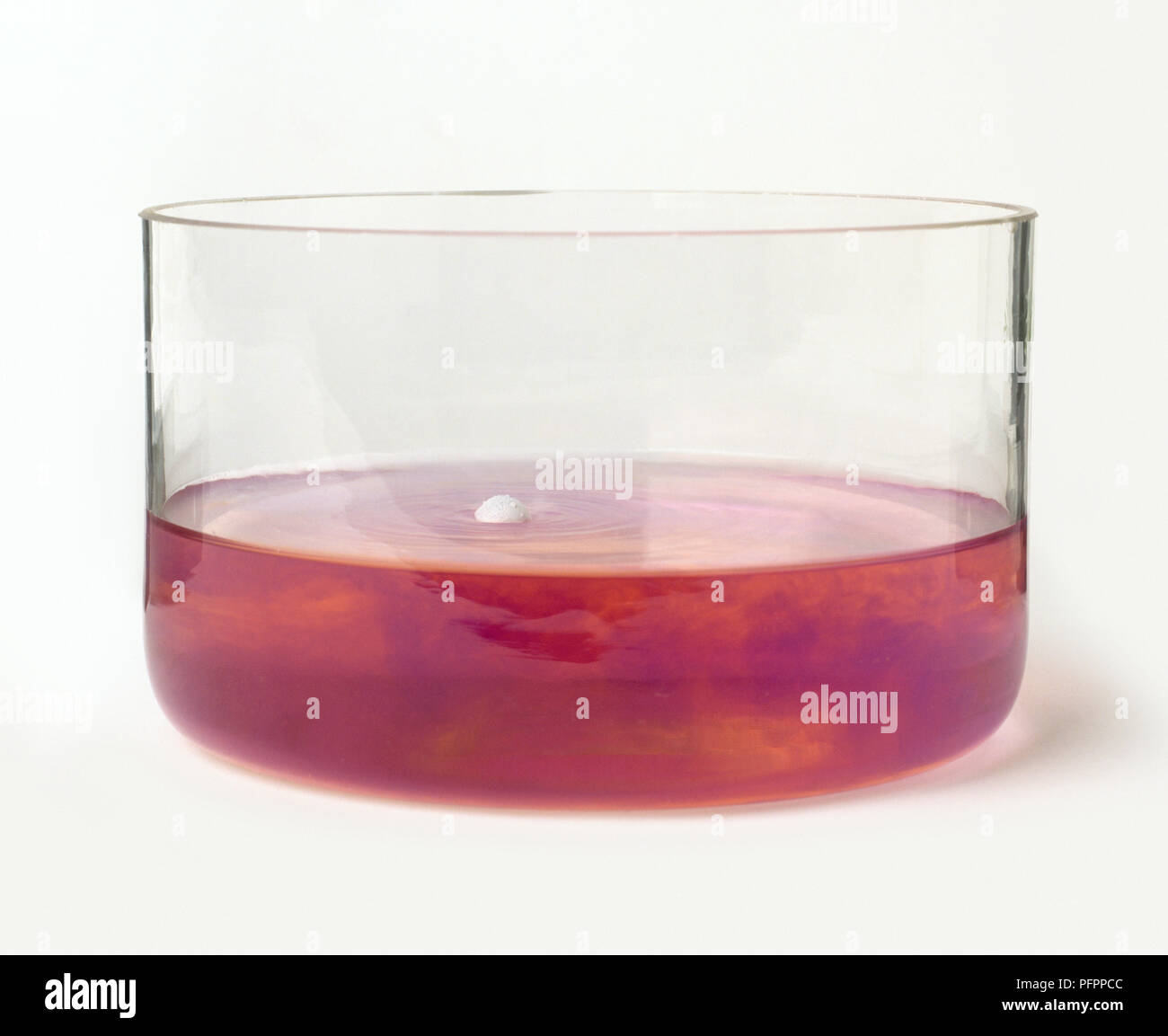 Sodio metallico in recipiente di vetro di colore rosso al tornasole acqua producendo idrossido di sodio e idrogeno, close-up Foto Stock